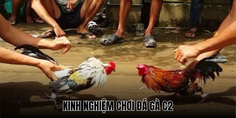 da ga c2