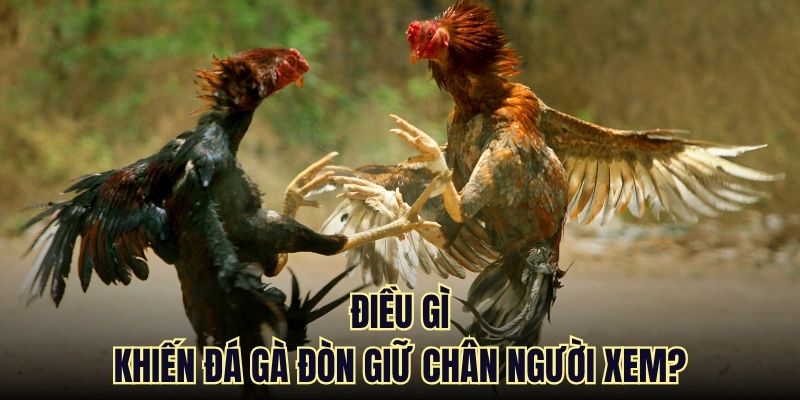 da ga don